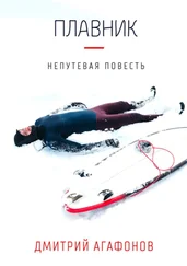 Дмитрий Агафонов - Плавник. Непутевая повесть