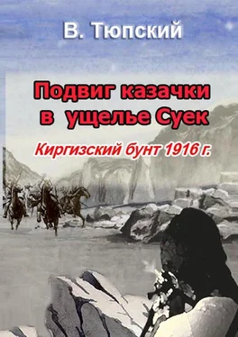 В. Тюпский Подвиг казачки в ущелье Cуек. Киргизский бунт 1916 г. обложка книги