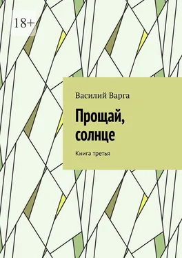 Василий Варга Прощай, солнце. Книга третья обложка книги