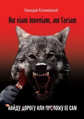 Геннадий Калиновский - Aut viam inveniam, aut faciam. Найду дорогу или проложу ее сам