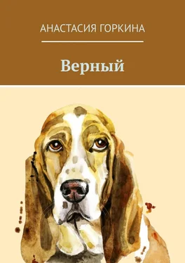 Анастасия Горкина Верный обложка книги