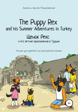 Арсен Пашковский Щенок Рекс и его летние приключения в Турции. The Puppy Rex and his Summer adventures in Turkey обложка книги