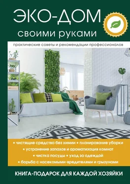 Вера Денисова Эко-дом своими руками обложка книги