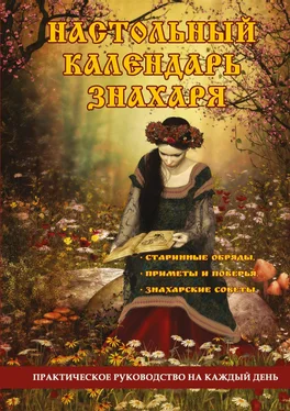 Ольга Степкина Настольный календарь знахаря. Практическое руководство на каждый день обложка книги