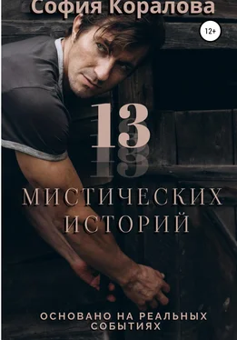 София Коралова 13 Дзен историй. Основано на реальных событиях обложка книги