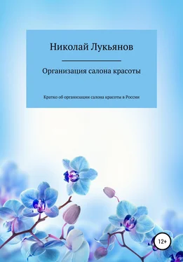 Николай Лукьянов Организация салона красоты обложка книги