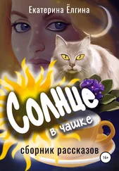 Екатерина Ёлгина - Солнце в чашке