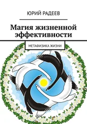 Юрий Радеев - Магия жизненной эффективности. Метафизика жизни