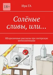 Ира ГА - Солёные сливы, или… НЕприличные рассказы про питерскую интеллигенцию