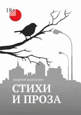 Андрей Воронин Синица. Стихи и проза обложка книги