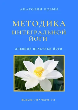 Анатолий Новый Методика интегральной йоги. Дневник практики йоги. Выпуск 1-й. Часть 1-я обложка книги