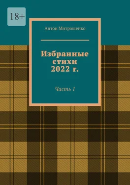 Антон Митрошенко Избранные стихи 2022 г. Часть 1 обложка книги