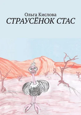 Ольга Кислова Страусёнок Стас обложка книги