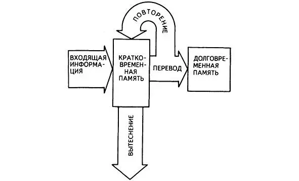 Схема памяти по Р Аткинсону и Р Шифрину Взаимосвязанная работа - фото 4
