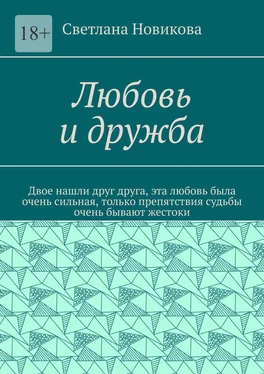 Светлана Новикова Любовь и дружба обложка книги