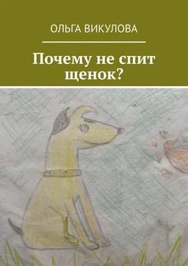 Ольга Викулова Почему не спит щенок? обложка книги