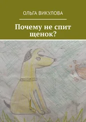 Ольга Викулова - Почему не спит щенок?