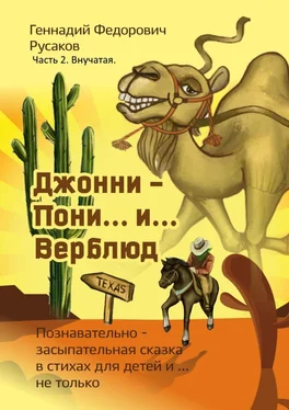 Геннадий Русаков Джонни – Пони… и… Верблюд. Часть 2. Внучатая обложка книги