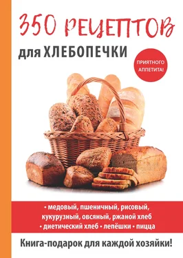 Анастасия Красичкова 350 рецептов для хлебопечки