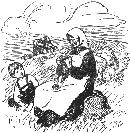 Бабушка бабушка там в траве знаешь вот такусенькие яйца Пусть там и - фото 11