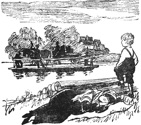 Паром медленно поплыл к тому берегу где стоял Бобеш Кроме двух взрослых там - фото 14