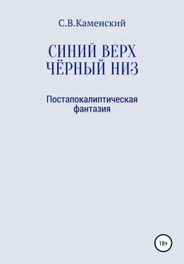 С. В. Каменский Синий верх, чёрный низ обложка книги