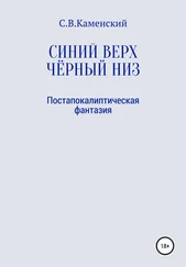 С. В. Каменский - Синий верх, чёрный низ