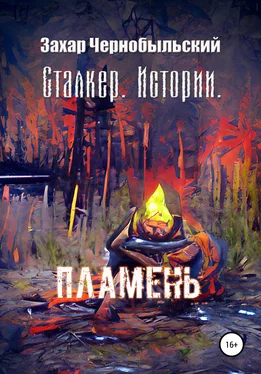 Захар Чернобыльский Сталкер. Истории. Пламень обложка книги