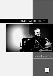 Вадим Шарыгин - Высокая пропасть