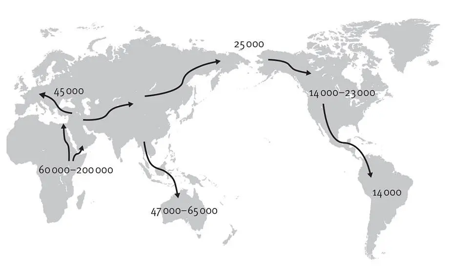 Рис 3 Миграция Homo sapiens из Африки Примерные маршруты миграции Homo - фото 3