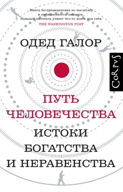 Одед Галор Путь человечества. Истоки богатства и неравенства обложка книги