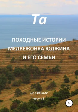 Та Походные истории медвежонка Юджина и его семьи. Не в Крыму. Часть 8 обложка книги