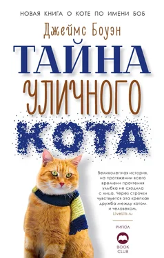 Джеймс Боуэн Тайна уличного кота обложка книги