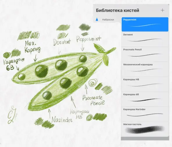 Рисунок 2 Пример работы с карандашами в Procreate работа автора На примере - фото 2