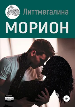 Литтмегалина Морион обложка книги