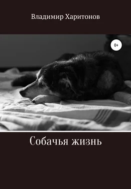 Владимир Харитонов Собачья жизнь обложка книги