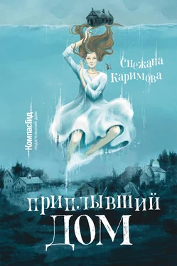 Снежана Каримова Приплывший дом обложка книги