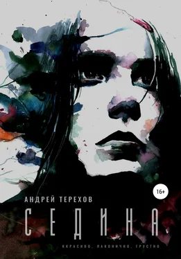 Андрей Терехов Седина обложка книги