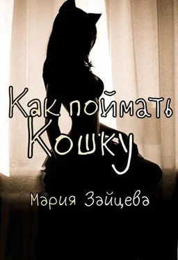 Мария Зайцева Как поймать кошку обложка книги