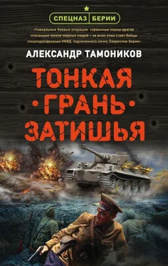 Александр Тамоников Тонкая грань затишья обложка книги