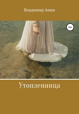 Владимир Анин Утопленница обложка книги