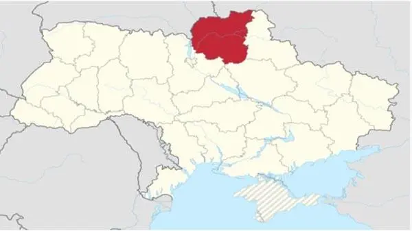 Черниговская область село Хорошее Озеро Кантуры 17811963 Се - фото 30