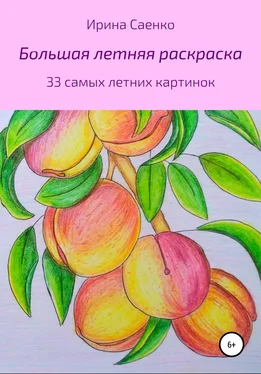 Ирина Саенко Большая летняя раскраска обложка книги