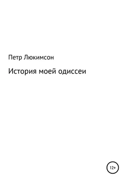 Петр Люкимсон История моей одиссеи обложка книги