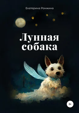 Екатерина Ронжина Лунная собака обложка книги