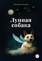 Екатерина Ронжина - Лунная собака