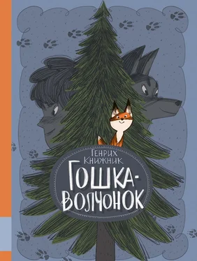 Генрих Книжник Гошка-волчонок обложка книги