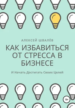 Алексей Швалёв Как избавиться от стресса в бизнесе и начать достигать своих целей. обложка книги
