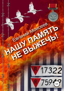 Евгений Моисеев Нашу память не выжечь! обложка книги