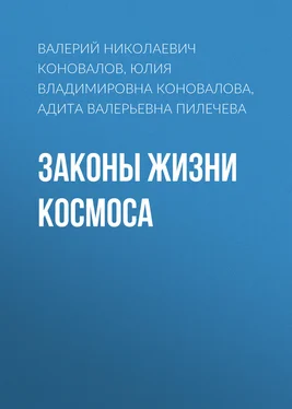 Валерий Коновалов Законы Жизни Космоса обложка книги